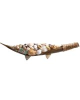 2006 - Coconut Boat w/ Asst Shells 20×5×5"