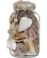 2050 - Seashells in Jar w/ Abaca Top 3.5x6"