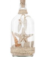 2058 - Shells in Bottle & Knobby Star 8.5"