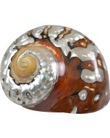 3303XL - South African Turbo 3.5-4"