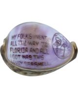 3348 - Carved Cowrie "MY FOLKS"