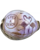 3349 - Carved Cowrie "LIFE'S A BEACH"