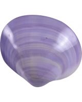 3350XL - Purple Clam Polished Pair 3.5-4"