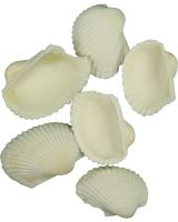 3406 - White Ark Cockle 1.25-1.75" (kilo)