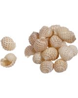 3545 - Mosaic Tonna 2.5-3.5"