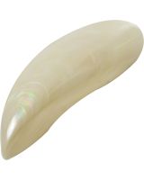 4094 - Banana Clam Pair 4" & Up