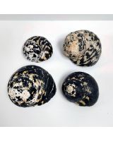 4202 - Magpie Turbo Natural 2.5-3.5"