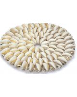 4495S - Cowrie Placemat 6"