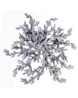 7185 - Sealife Blossom Coral Wall Art 23x33" - Metal & Capiz Art