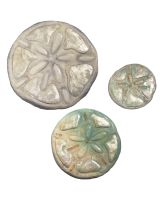 7188 - Sealife Set of 3 Sand Dollar Wall Art 8 / 8.5 / 10" - Metal & Capiz Art