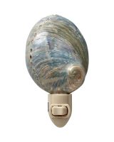 757802 - Polished Greenlip Abalone LED Night Light