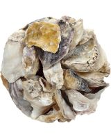 8360 - Oyster Shell Orb 4"