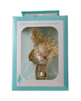 852002 - Ramose Murex Boxed LED Night Light