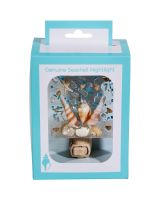 852402 - Shell Party Square Boxed LED Night Light