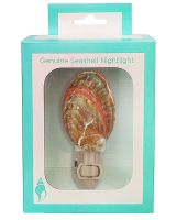 854202 - Abalone Boxed LED Night Light