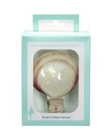 854404 - Polished Tiger Clam Boxed AUTO LED Night Light