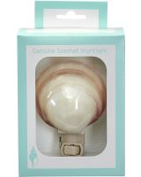 854402 - Polished Tiger Clam Boxed LED Night Light