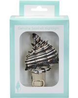 855902 - Black Murex Boxed LED Night Light