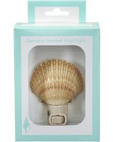 856502 - Mexican Deep Boxed LED Night Light