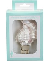 856702 - Pink Murex Boxed LED Night Light