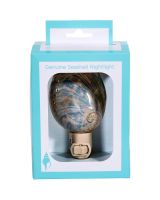 857802 - Polished Greenlip Abalone Boxed LED Night Light