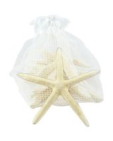 9032 - 10 White Finger Starfish Pack