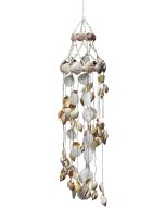 1853 - Canarium & Amusium Chime 8x30"