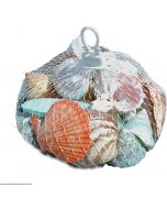 2004W - Polished Shells in Hanging White Plastic Net