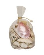 2005 - Asst Polished Shells in White Plastic Net 7×4"