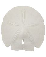 3079 - Gulf Arrowhead Sand Dollar 3-3.5"