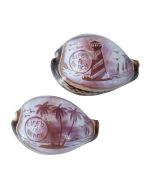 3349 - Carved Cowrie "LIFE'S A BEACH"