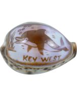 3358 - Carved Cowrie "KEY WEST"