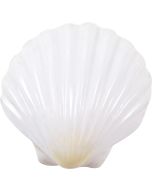 3437 - Irish Deep Scallop Polished 3-5"