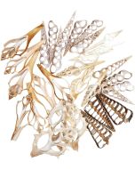 3889 - Assorted Center Cut Shells 3-4"