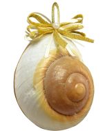 6016 - Gold Bow Mountain Land Snail Ornament 3-3.5"