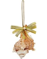 6036 - Gold Bow Murex Ornament 2.5-3.5"