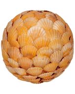 830407 - Orange Scallop Shell Flat Orb 8"