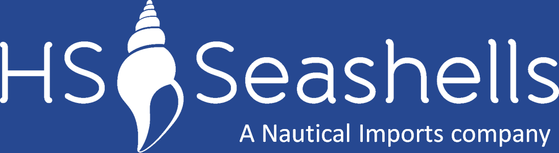 HS Seashells