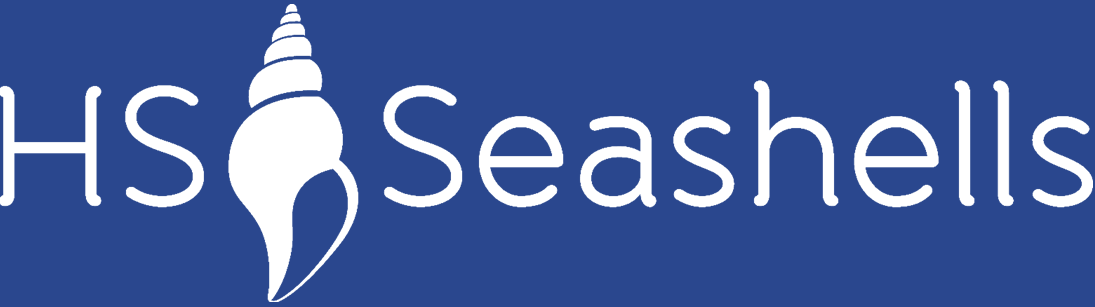 HS Seashells